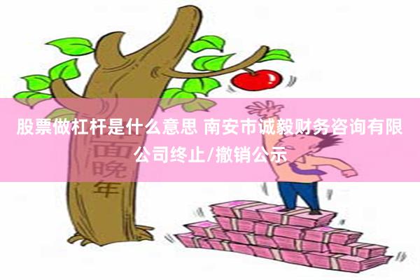 股票做杠杆是什么意思 南安市诚毅财务咨询有限公司终止/撤销公示