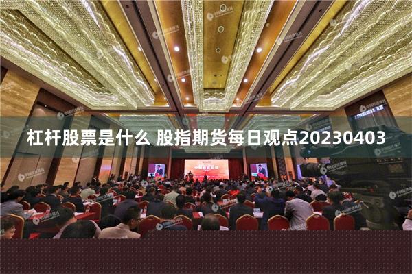 杠杆股票是什么 股指期货每日观点20230403