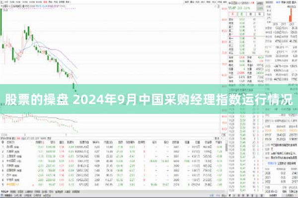 股票的操盘 2024年9月中国采购经理指数运行情况