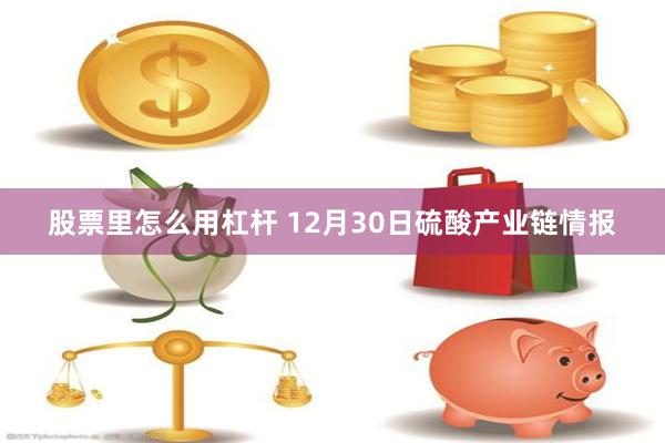 股票里怎么用杠杆 12月30日硫酸产业链情报