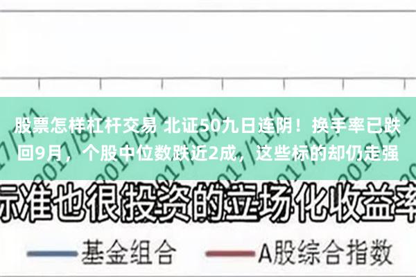 股票怎样杠杆交易 北证50九日连阴！换手率已跌回9月，个股中位数跌近2成，这些标的却仍走强